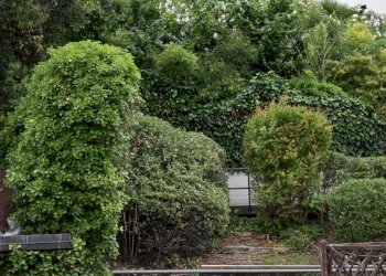 Bilocale Via Alamandini, Bologna (zona Colli) - foto 15