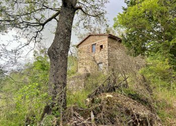 Casale Sorano - photo 14