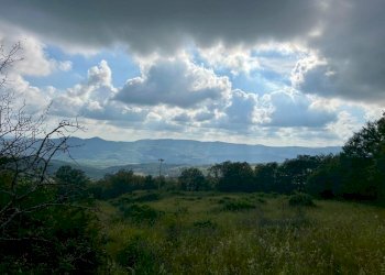 Casale Sorano - photo 16
