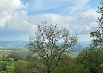 Casale Sorano - photo 19