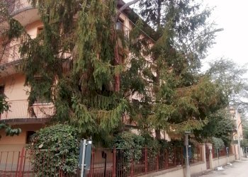 Three-room apartment Via Cimarosa, 11, Bologna (neighborhood San Ruffillo) - photo 34