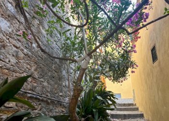 Rustic Via prevosto, Imperia - photo 41