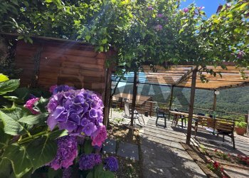 Casa indipendente LOCALITA' VILLA MONTEDOMENICO, 73b 
 Villa Montedomenico, Sestri Levante - foto 4