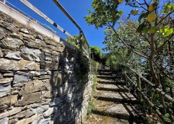 Casa indipendente LOCALITA' VILLA MONTEDOMENICO, 73b 
 Villa Montedomenico, Sestri Levante - foto 35