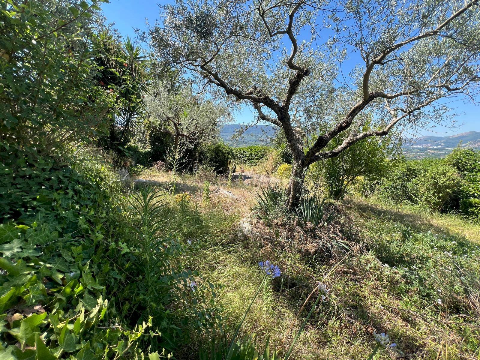 Foto 2 - Villa VIA PIANA DEL MONDO, Sant'Agata De' Goti - foto 2