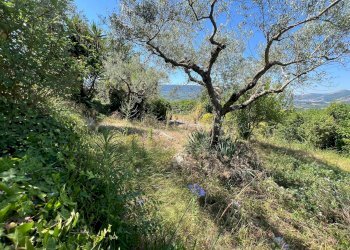 Foto 2 - Villa VIA PIANA DEL MONDO, Sant'Agata De' Goti - foto 2