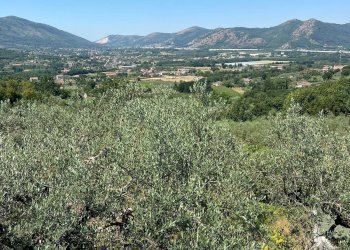 Foto 5 - Villa VIA PIANA DEL MONDO, Sant'Agata De' Goti - foto 5
