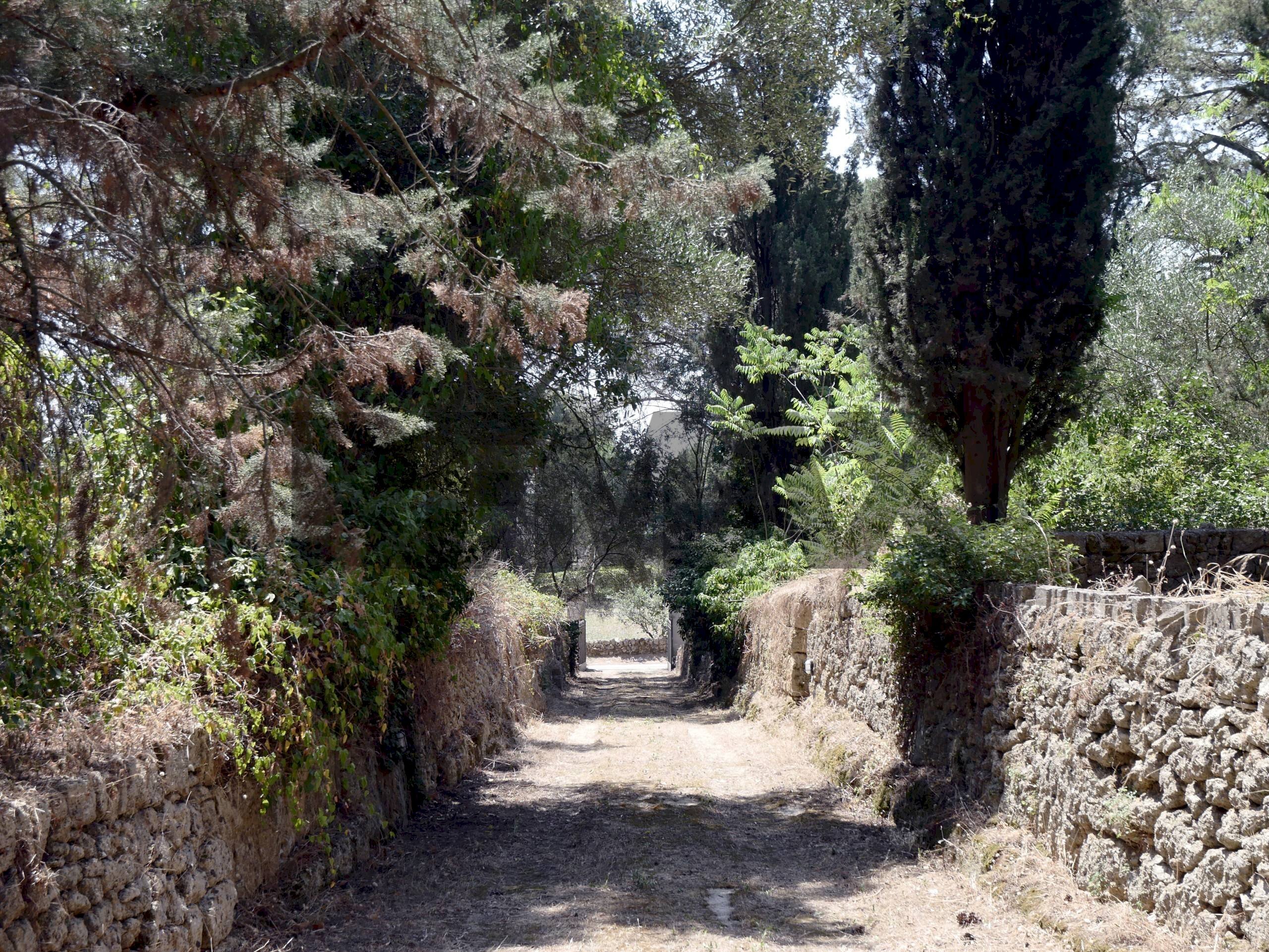 Giardino - Villa Strada Vicinale Vecchia Matera
snc, Gioia del Colle - foto 2