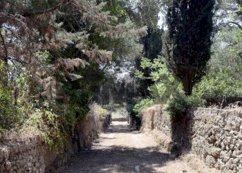 Giardino - Villa Strada Vicinale Vecchia Matera
 
snc, Gioia del Colle - foto 2
