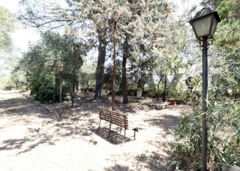 Giardino - Villa Strada Vicinale Vecchia Matera
 
snc, Gioia del Colle - foto 24
