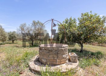 Giardino - Villa Contrada Bosco Di Mezzo
 
snc, Caltagirone - foto 33