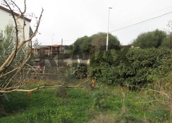 Giardino - Agricultural land Via Torresino
2, Catania - photo 5