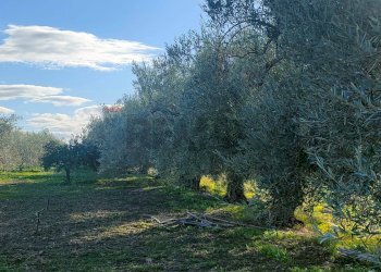 Non correlato - Terreno agricolo Contrada Spina Santa Agnelleria
snc, Belpasso - foto 3