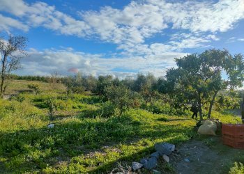 Giardino - Terreno agricolo Contrada Spina Santa Agnelleria
snc, Belpasso - foto 11
