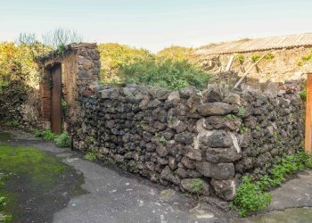 Giardino - Terreno edificabile Vico Balsamo
12, San Gregorio di Catania - foto 4