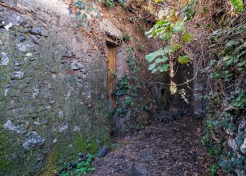 Giardino - Terreno edificabile Vico Balsamo
12, San Gregorio di Catania - foto 6