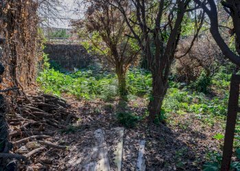 Giardino - Terreno edificabile Vico Balsamo
12, San Gregorio di Catania - foto 8