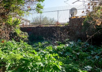 Giardino - Terreno edificabile Vico Balsamo
12, San Gregorio di Catania - foto 9
