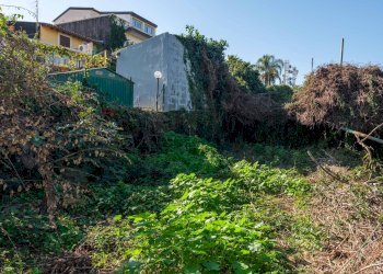 Giardino - Terreno edificabile Vico Balsamo
12, San Gregorio di Catania - foto 11