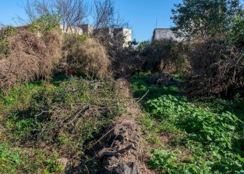 Giardino - Terreno edificabile Vico Balsamo
12, San Gregorio di Catania - foto 12