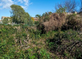 Giardino - Terreno edificabile Vico Balsamo
12, San Gregorio di Catania - foto 13