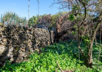 Giardino - Terreno edificabile Vico Balsamo
12, San Gregorio di Catania - foto 14