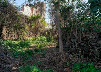 Giardino - Terreno edificabile Vico Balsamo
12, San Gregorio di Catania - foto 16