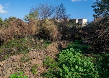 Giardino - Terreno edificabile Vico Balsamo
12, San Gregorio di Catania - foto 17