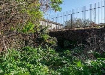 Giardino - Terreno edificabile Vico Balsamo
12, San Gregorio di Catania - foto 19