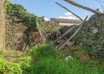 Giardino - Terreno edificabile Vico Balsamo
12, San Gregorio di Catania - foto 28