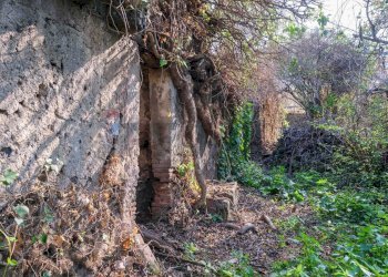 Giardino - Terreno edificabile Vico Balsamo
12, San Gregorio di Catania - foto 30