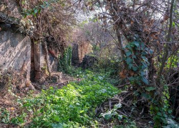 Giardino - Terreno edificabile Vico Balsamo
12, San Gregorio di Catania - foto 31