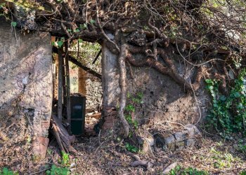 Giardino - Terreno edificabile Vico Balsamo
12, San Gregorio di Catania - foto 32