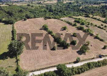 Posizione della mappa - Agricultural land via del pontone corto
 
9, Manziana - photo 4