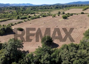 Vista delle montagne - Agricultural land via del pontone corto
 
9, Manziana - photo 6