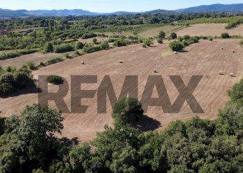 Vista delle montagne - Agricultural land via del pontone corto
 
9, Manziana - photo 8