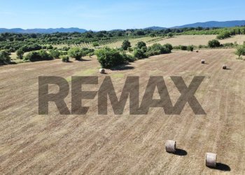 Vista delle montagne - Agricultural land via del pontone corto
 
9, Manziana - photo 10