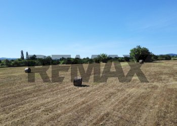 Giardino - Agricultural land via del pontone corto
 
9, Manziana - photo 11