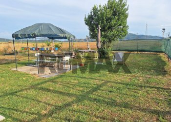 Giardino - Casa semi indipendente Vocabolo Forcone
 
3, Castiglione del Lago - foto 5