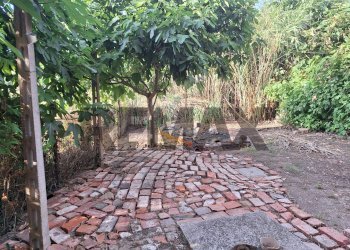 Giardino - Casa semi indipendente Vocabolo Forcone
 
3, Castiglione del Lago - foto 23