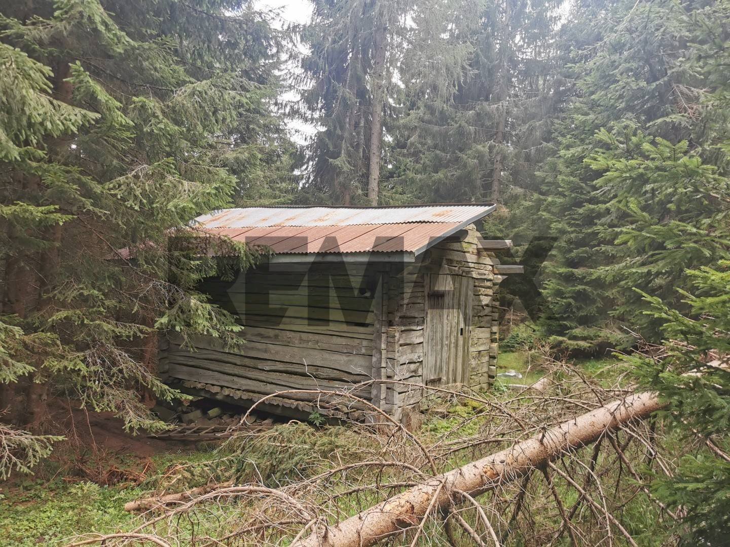 Casa all\'aperto - Baita Via S. Rocco
 
Snc, Lozzo di Cadore - foto 2