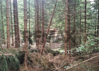 Edificio all\'aperto - Baita Via S. Rocco
 
Snc, Lozzo di Cadore - foto 10