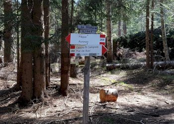 Non correlato - Baita Via S. Rocco
 
Snc, Lozzo di Cadore - foto 13