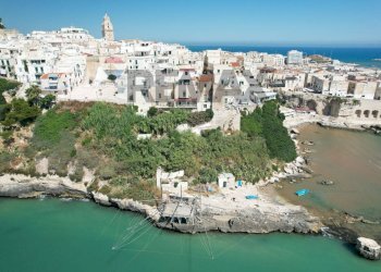 Vista dell\'acqua - Apartment Via Levante
 
9, Vieste - photo 33