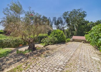 Giardino - Villa Viale Delle Rughe
 
169, Formello - foto 33
