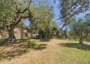 Giardino - Villa Via delle Spinareta
 
56, Formello - foto 24