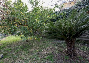 Giardino - Villa corso vittorio emanuele
 
8, Casamicciola Terme - photo 32