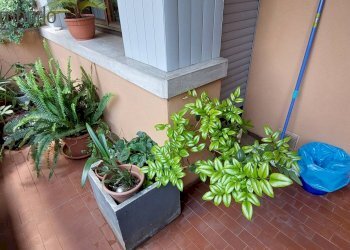 Foto 4 - Quadrilocale Treviso - foto 4