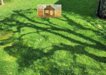 Giardino - Villa via Tabernacolo, frazione Capalle, Campi Bisenzio - foto 5