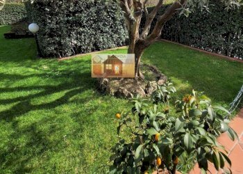 Giardino - Villa via Tabernacolo, frazione Capalle, Campi Bisenzio - foto 34